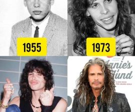 FROM STEVEN VICTOR TALARICO TO ROCK ROYALTY: How Steven Tyler Defied Addiction, Reinvented Fame, and Became a Living Legend 🎤🔥
