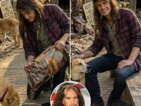 HEARTWARMING NEWS: Steven Tyler Pledges $1 Million to Build Sanctuary for Rescued Animals