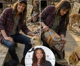 Steven Tyler’s $1 Million Surprise: The Rock Legend Quietly Builds a Sanctuary for Rescued Animals