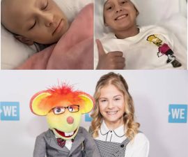 When a Little Girl’s Final Wish Reached Darci Lynne, the Star Didn’t Send a Message — She Showed Up