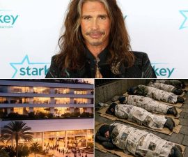 Before Sunrise, Steven Tyler Opened the Doors — A Free Hospital for the Homeless Begins Its Mission in Silence