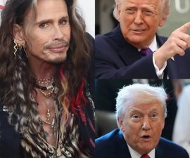 When Music Meets Politics: Why Celebrity Voices in Immigration Debates Capture National Attention