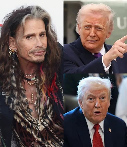 When Music Meets Politics: Why Celebrity Voices in Immigration Debates Capture National Attention