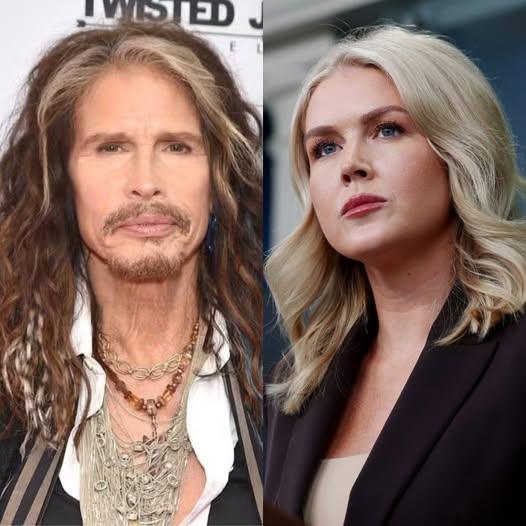 “He’s Just a Rock Singer.” Why Cultural Voices Are Often Dismissed in Political Debate