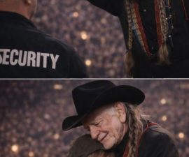 🌻 Willie Nelson Stopped the Music — And a Little Boy’s Simple Gift Turned a Concert Into an Unforgettable Moment