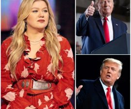 Kelly Clarkson Breaks Her Silence on Live Television: Sharp Words for Donald Trump After the Born-In-America Act