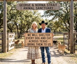 BREAKING NEWS: At 4:12 A.M., Before Texas Even Woke Up, George Strait Did Something No One Saw Coming