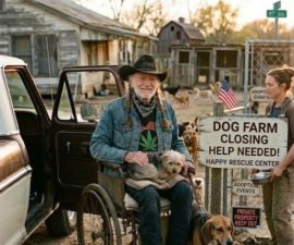 “HE WALKED IN QUIETLY — AND WALKED OUT CHANGING 32 LIVES” — Willie Nelson’s Unexpected Visit to a Struggling Shelter Becomes a Moment No One Will Forget 🐾❤️