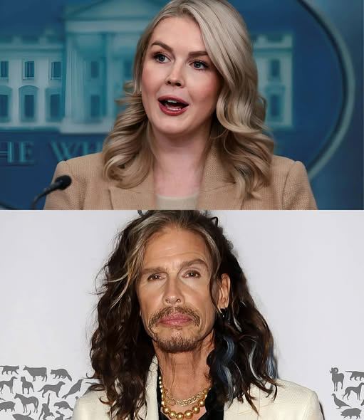 “HE ONLY SCREAMS INTO A MIC?” — Steven Tyler’s Calm, Devastating Response Leaves Studio Frozen in Silence ⚡🎤