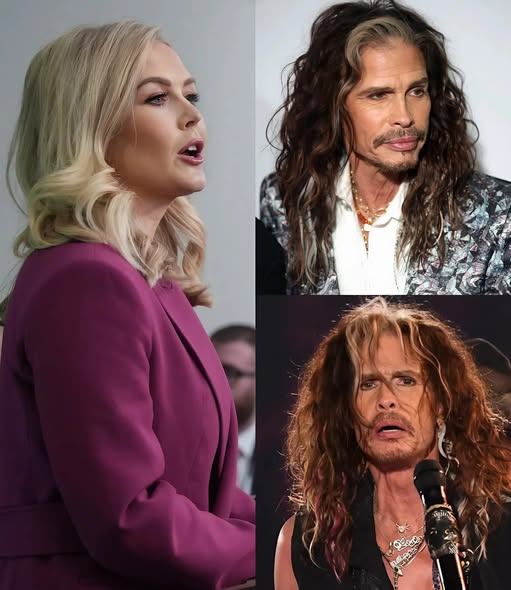 “JUST A ROCK SINGER?” — The Moment Steven Tyler Reclaimed the Room Without Raising His Voice ⚡🎤