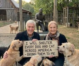 “HE LET THEM ALL GO” — Dick Van Dyke Sells His Entire Vintage Car Collection to Build a $100 MILLION Animal Sanctuary That’s Changing Lives Forever 🐾🚗