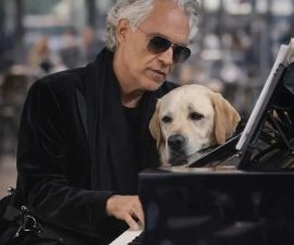 A Final Bow for Chopin: Andrea Bocelli’s Farewell to His Loyal Shadow