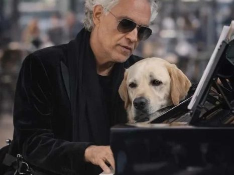 A Final Bow for Chopin: Andrea Bocelli’s Farewell to His Loyal Shadow