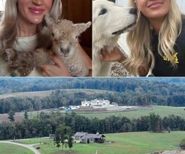 🔥 Inside Carrie Underwood’s Hidden Life: The Stunning 400-Acre Tennessee Estate With One Secret Fans Never Expected