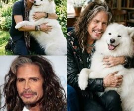“‘All 27 Deserve a Tomorrow’: Inside the Night Steven Tyler Walked Into a Closing Shelter — And Changed Everything by Morning”