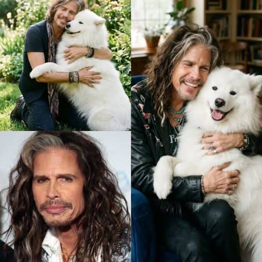“‘All 27 Deserve a Tomorrow’: Inside the Night Steven Tyler Walked Into a Closing Shelter — And Changed Everything by Morning”