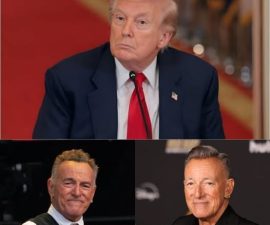 “‘Genius?’ Put to the Test: The Night Bruce Springsteen Turned a Live Broadcast Into a Moment No One Could Ignore”