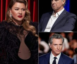 BREAKING: Kelly Clarkson’s Reported Claims Spark Intense Debate Over Election Integrity and Public Responsibility