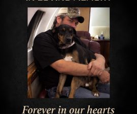 💔 Tragic Loss: The Country Music World Mourns the Passing of Blake Shelton’s Beloved Rescue Dog at Just 6 Years Old
