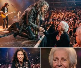 He Didn’t Sing for the Crowd — He Sang for One Soul: The Moment Steven Tyler Changed Everything Mid-Show