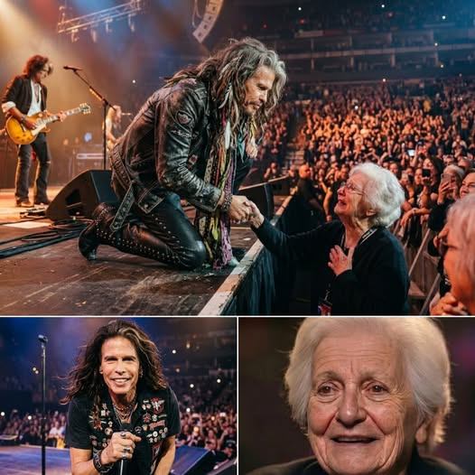 He Didn’t Sing for the Crowd — He Sang for One Soul: The Moment Steven Tyler Changed Everything Mid-Show
