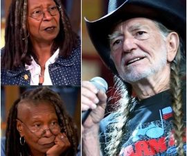 “He’s Just a Country Singer” — The Moment That Sparked Silence, and Willie Nelson’s Response That Said Everything Without Saying Much