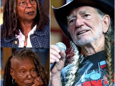 “He’s Just a Country Singer” — The Moment That Sparked Silence, and Willie Nelson’s Response That Said Everything Without Saying Much
