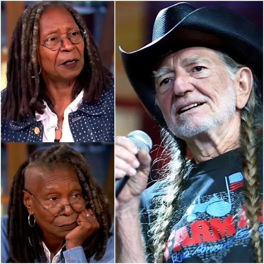 “He’s Just a Country Singer” — The Moment That Sparked Silence, and Willie Nelson’s Response That Said Everything Without Saying Much