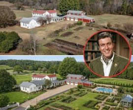 “Not a Comeback — A Confession?” Dick Van Dyke’s Cryptic Revelation Leaves Fans Searching for Answers