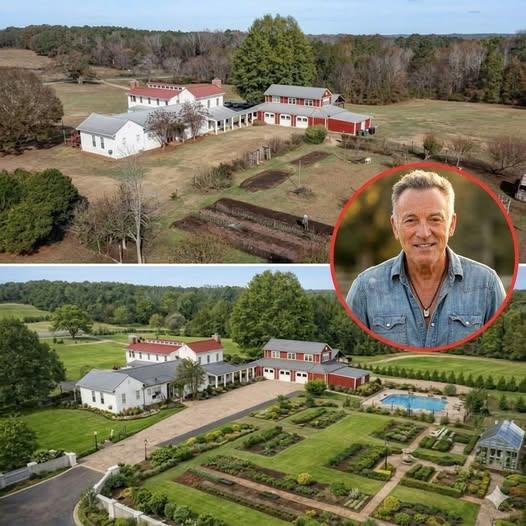 “Not a Tour. Not an Album. Then What?” Bruce Springsteen’s ‘Bombshell’ Leaves Fans Searching for the Truth