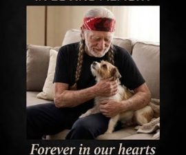 💔 TRAGIC LOSS: Willie Nelson Shares Heartbreaking News About Beloved Rescue Dog — Fans Left Devastated