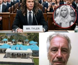 🚨 VIRAL CLAIM EXPLODES: Steven Tyler Allegedly “Reveals Names” Linked to Jeffrey Epstein — What’s Actually Verified