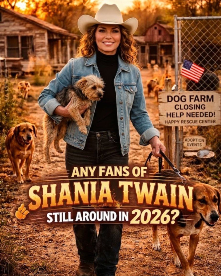 Shania Twain Walked Into a Failing Shelter — And What Followed Changed Dozens of Lives