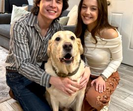 A QUIET MORNING WITHOUT PAWS: THE HEARTBREAKING SEARCH FOR A MISSING COMPANION