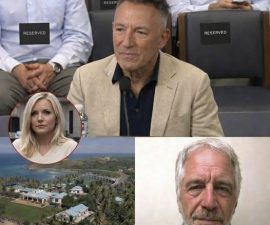 “32 Million Views in 24 Hours”: Bruce Springsteen Clip Sparks Global Debate on Power, Accountability, and the Epstein Legacy