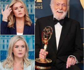“YOU’RE JUST AN ENTERTAINER?” — Karoline Leavitt’s Remark Backfires as Dick Van Dyke Delivers a Quietly Powerful Response