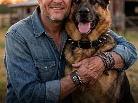 🐾 NEWS: Blake Shelton Launches $5 Million Initiative to Rescue Stray Dogs