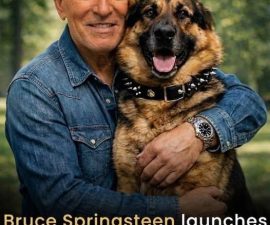 🐾 NEWS: Bruce Springsteen Launches $5 Million Initiative to Rescue Stray Dogs Across the U.S.