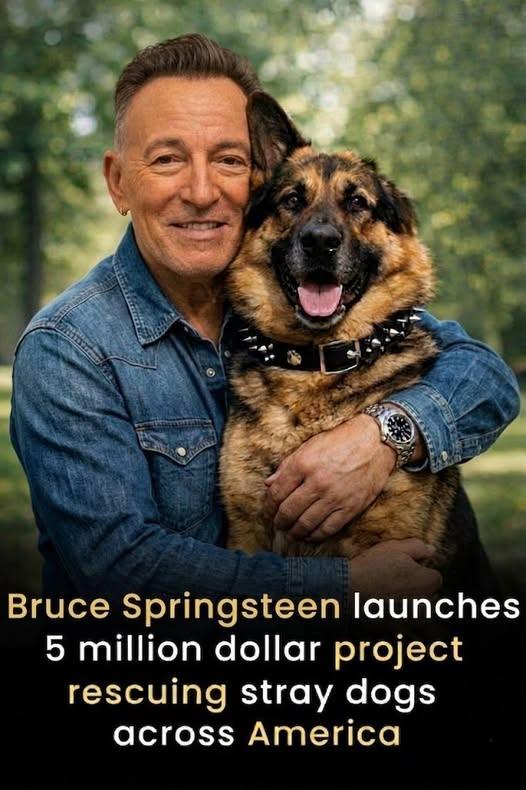 🐾 NEWS: Bruce Springsteen Launches $5 Million Initiative to Rescue Stray Dogs Across the U.S.