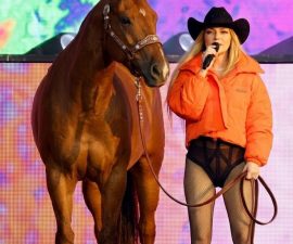 “Holy Neigh!”: Is Shania Twain Bringing Horses On Stage? The Truth Behind Her 2026 Anniversary Plans and the Risk That Has Everyone Talking 🐎✨