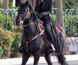 Forget Everything You Knew About Las Vegas Residencies. Shania Twain Just Rode Into Town With 40 Horses—and the Strip Will Never Be the Same 🐎✨