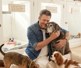 ❤️ A Quiet Act of Kindness: The Story That Reminds Us What Compassion Looks Like