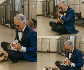 Andrea Bocelli Opens Free Vocal Training Center — A Quiet Move That Could Redefine His Legacy