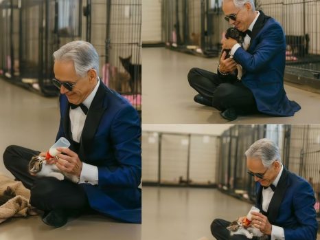 Andrea Bocelli Opens Free Vocal Training Center — A Quiet Move That Could Redefine His Legacy