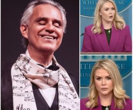 “SIT DOWN — WHO DO YOU THINK YOU REPRESENT?”: A LIVE TV MOMENT THAT STOPPED THE ROOM