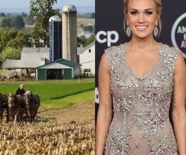 🔥BREAKING: Carrie Underwood Reportedly Turns Down $18 Million Fashion Deal — A Bold Stand That’s Igniting Global Debate