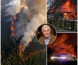 🚨CRITICAL ALERT OR MISLEADING PANIC? The Viral Wildfire Warning Near Dick Van Dyke’s Home — What We Actually Know