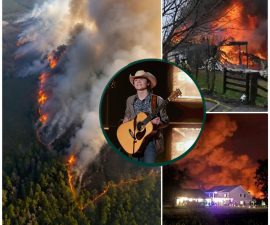 🚨 CRITICAL ALERT: Wildfire Emergency Threatens Nashville’s Rural Communities as Flames Advance Rapidly