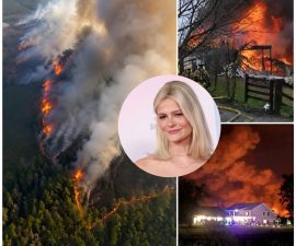 🚨 CRITICAL ALERT: Wildfire Threatens Nashville’s Rural Communities as Urgent Evacuations Underway 🚨