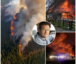 🚨 CRITICAL ALERT: Rapidly Spreading Wildfire Threatens Nashville Area — Mandatory Evacuations Underway as Officials Race Against Time